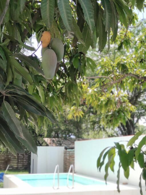 Casa Mango Amplia Con Alberca Y Cerca De La Media Luna !!! Río Verde Dış mekan fotoğraf